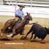 Volunteer Ranch Horse Show